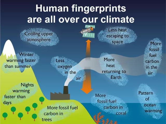 The impact of climate change on the spread of worm infections