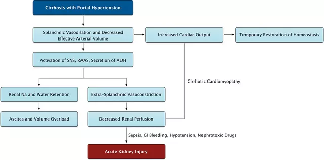 How to Manage Acute Diarrhea during Holidays and Special Occasions