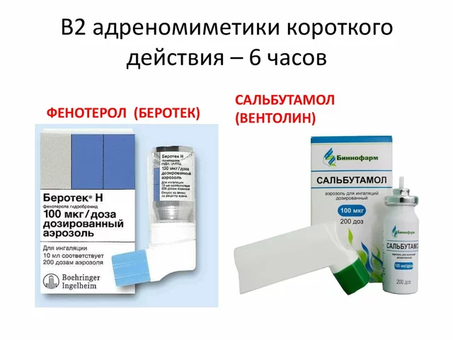Terbutaline and Asthma Education: Empowering Patients to Take Control of Their Condition