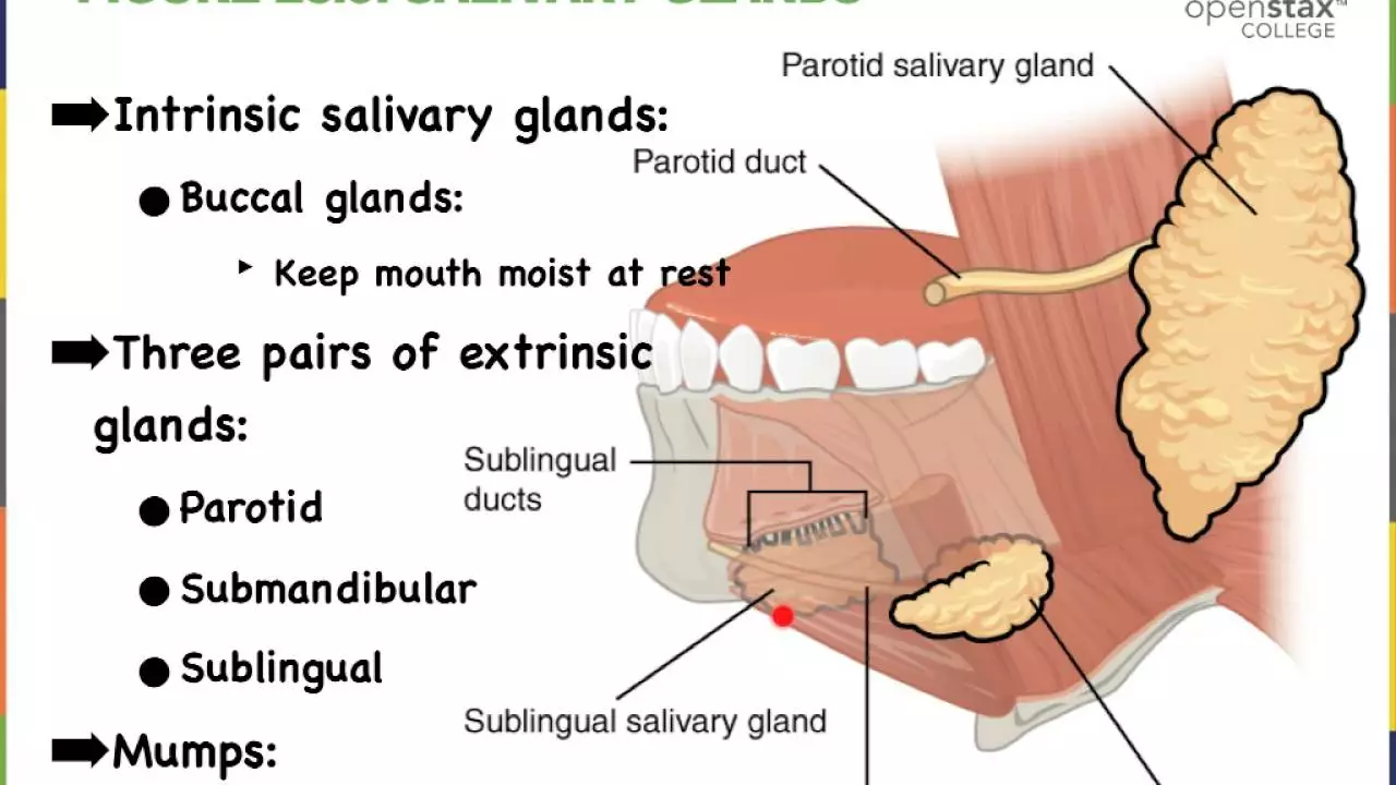 How to improve pharyngeal mucous membrane health through proper oral care