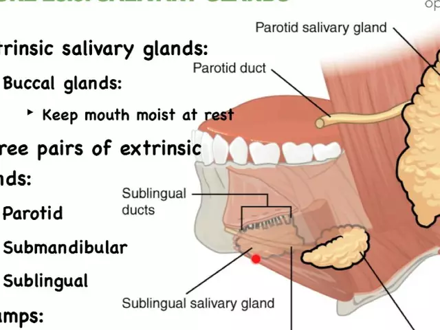 How to improve pharyngeal mucous membrane health through proper oral care
